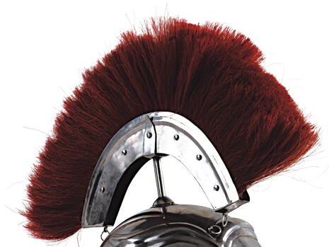 Bild  Bürste für römischen Helm
