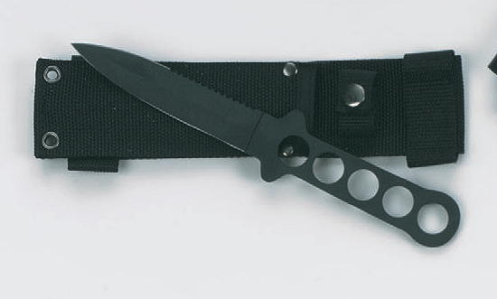 Dolch