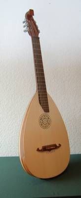 Gitarrenlaute mit Koffer